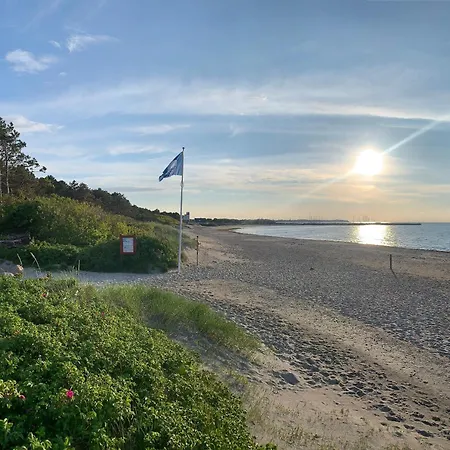 Semesterbostad Sommarhus Med Terrass Med Utsikt över Naturen Tikob