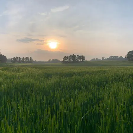 Semesterbostad Sommarhus Med Terrass Med Utsikt över Naturen Tikob