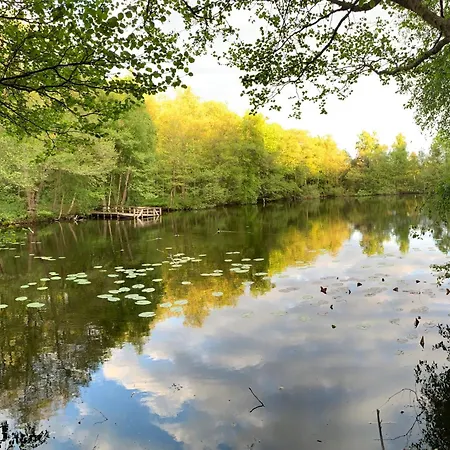 Sommarhus Med Terrass Med Utsikt över Naturen